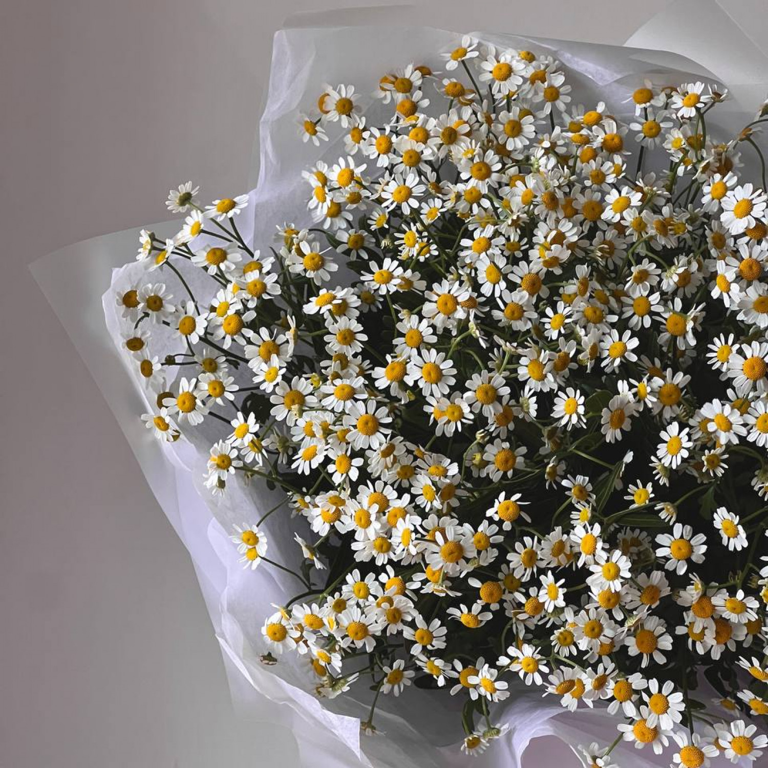 Монобукет из 15 кустовых ромашек