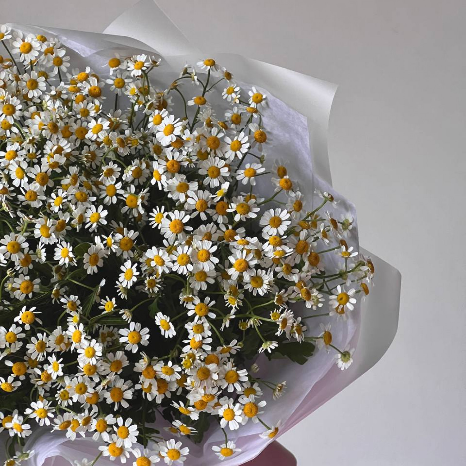 Монобукет из 15 кустовых ромашек