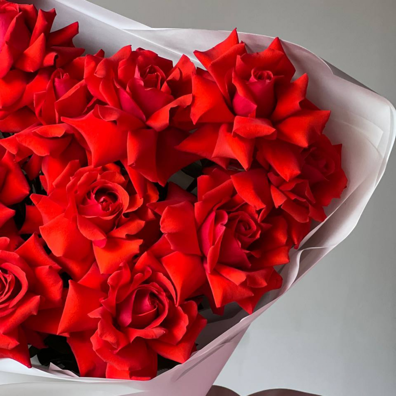 Монобукет из 15 красных Французских вывернутых роз Нина