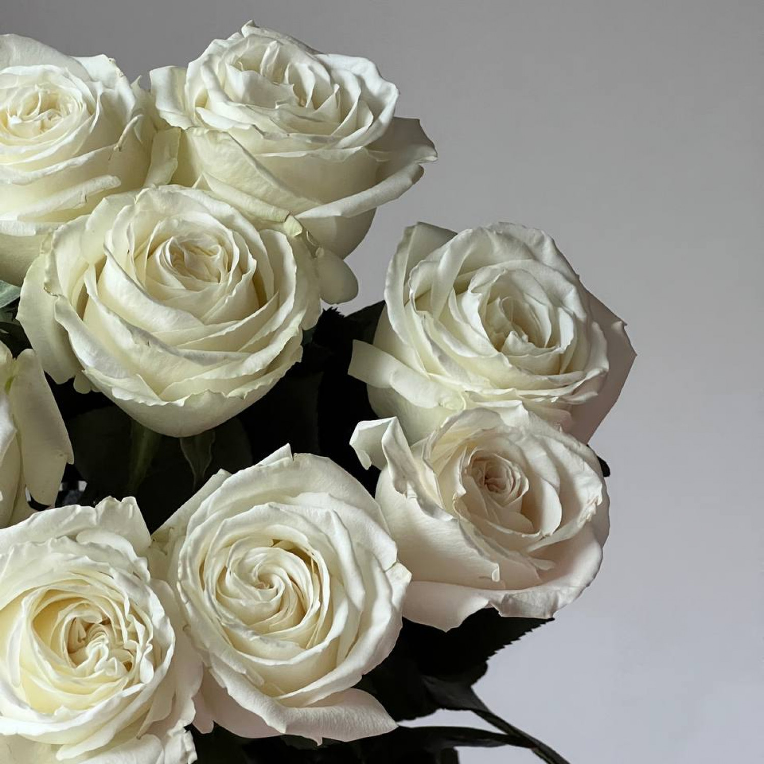 Монобукет из 9 пионовидных белых роз Плайя Бланка