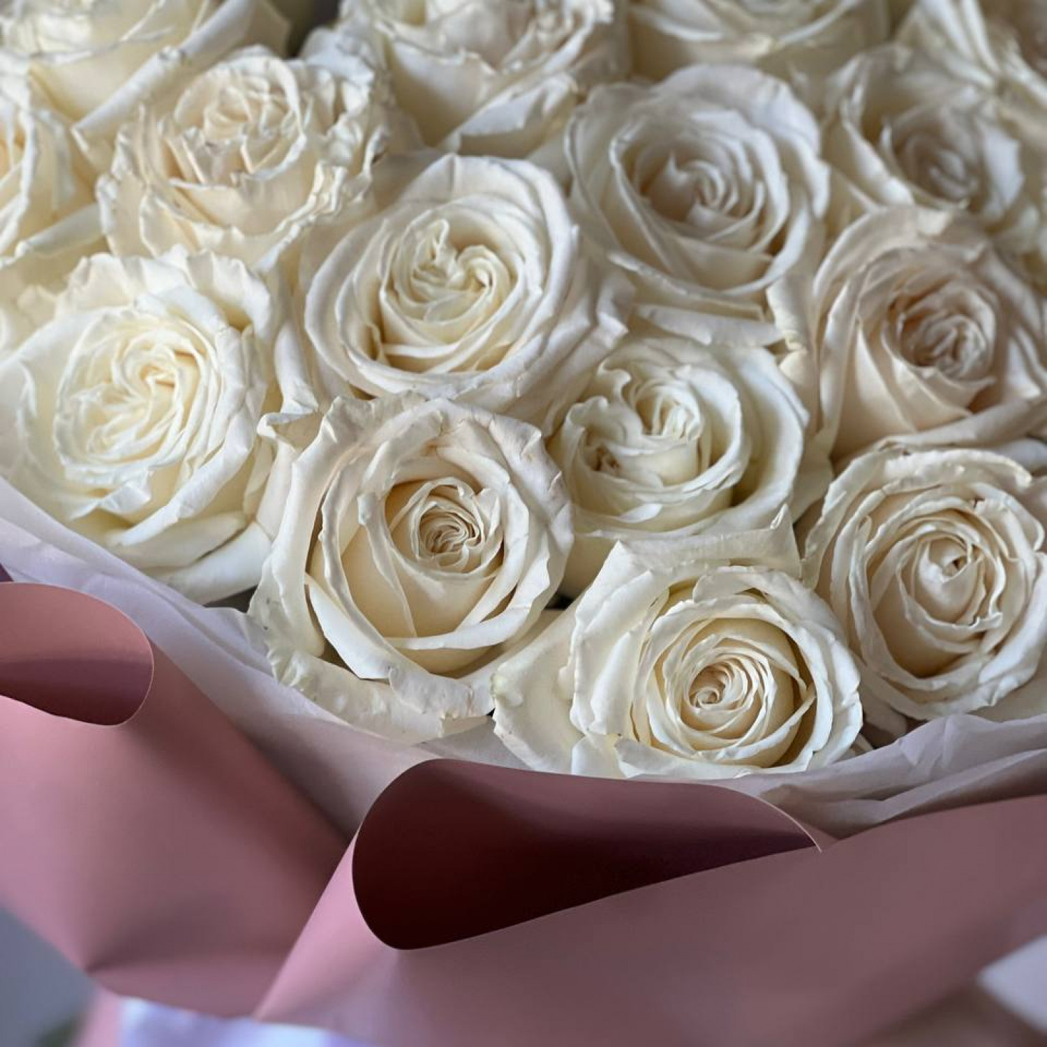 Монобукет из 25 белых пионовидных роз Плайя Бланка