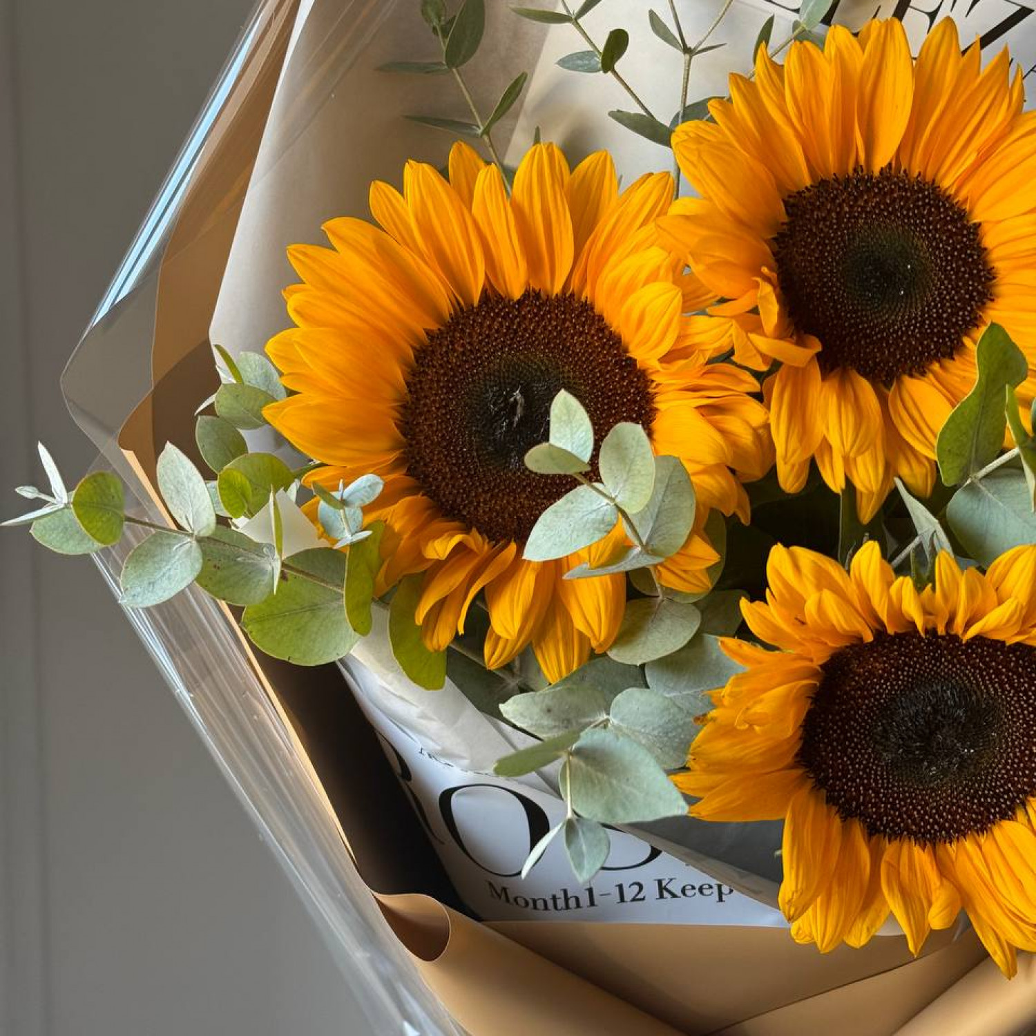 Монобукет из Подсолнухов с эвкалиптом