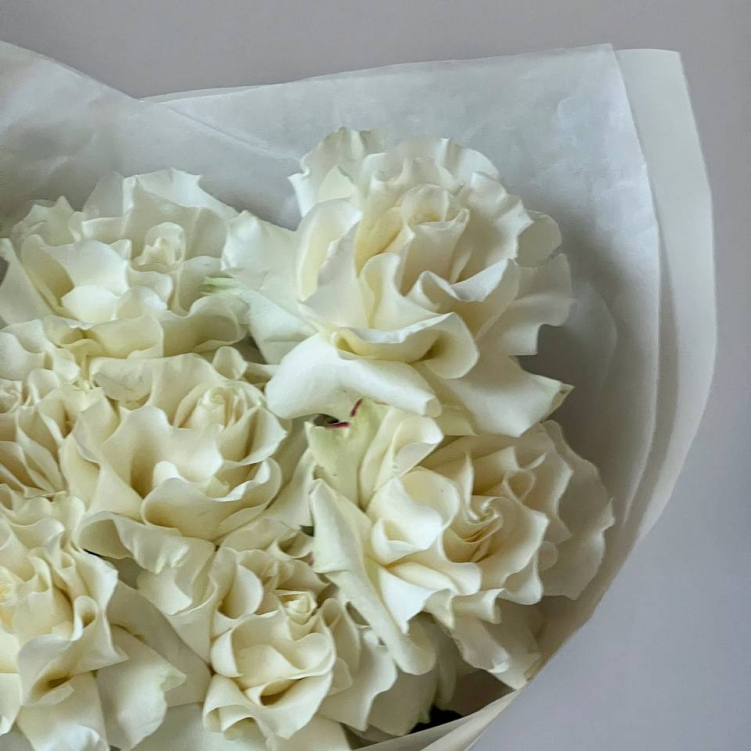 Монобукет из 9 белых французских вывернутых  роз №31