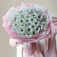 Монобукет из 5 кустовых ромашковых хризантем