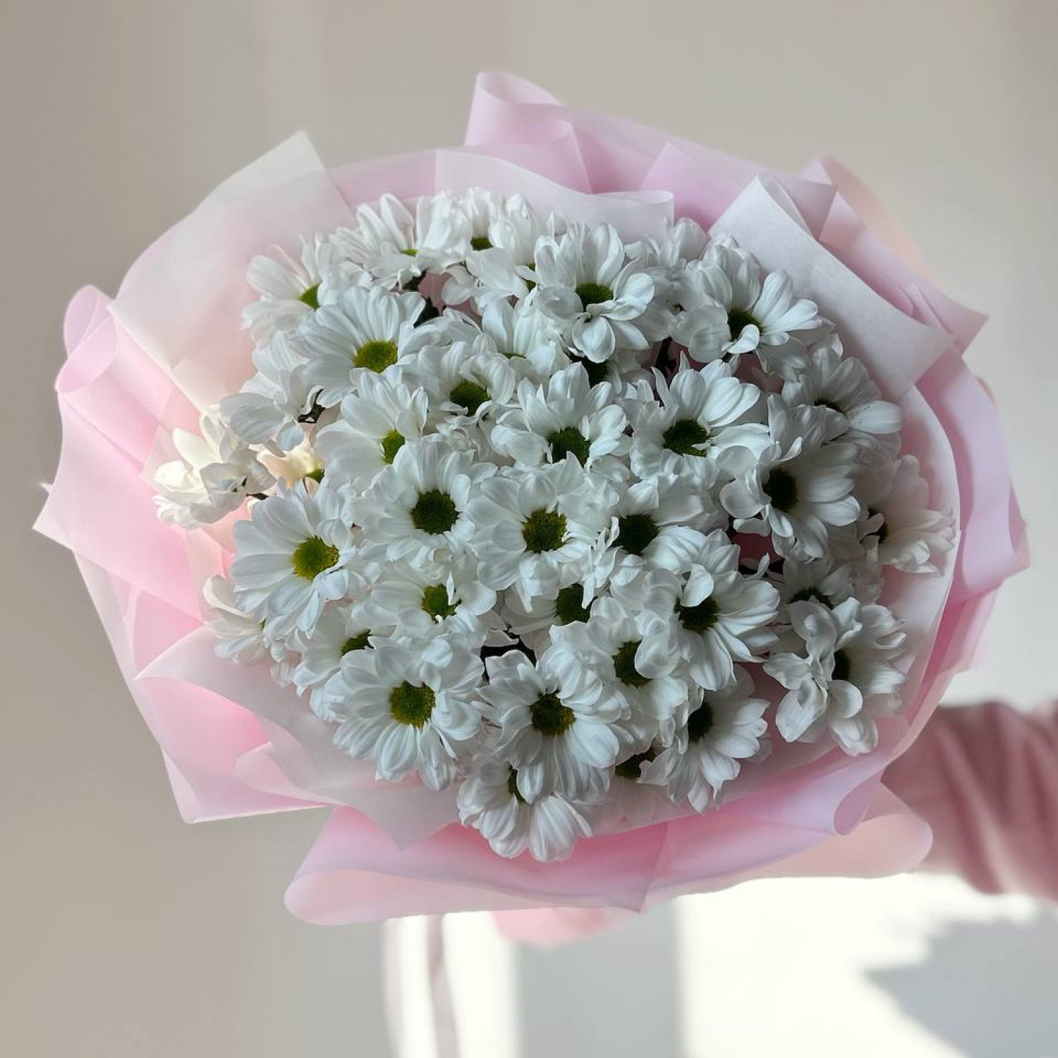 Монобукет из 5 кустовых ромашковых хризантем