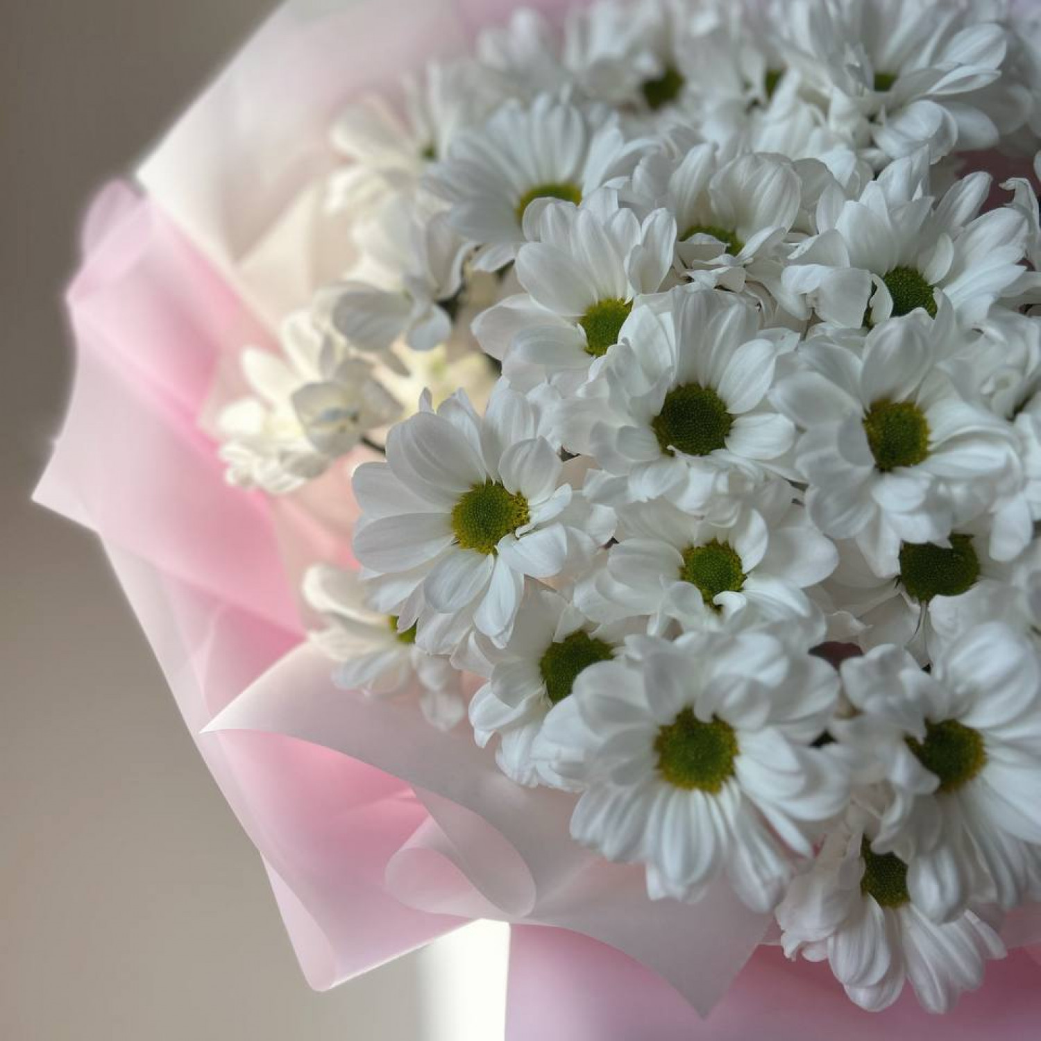 Монобукет из 5 кустовых ромашковых хризантем