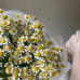 Монобукет из 15 кустовых ромашек №107