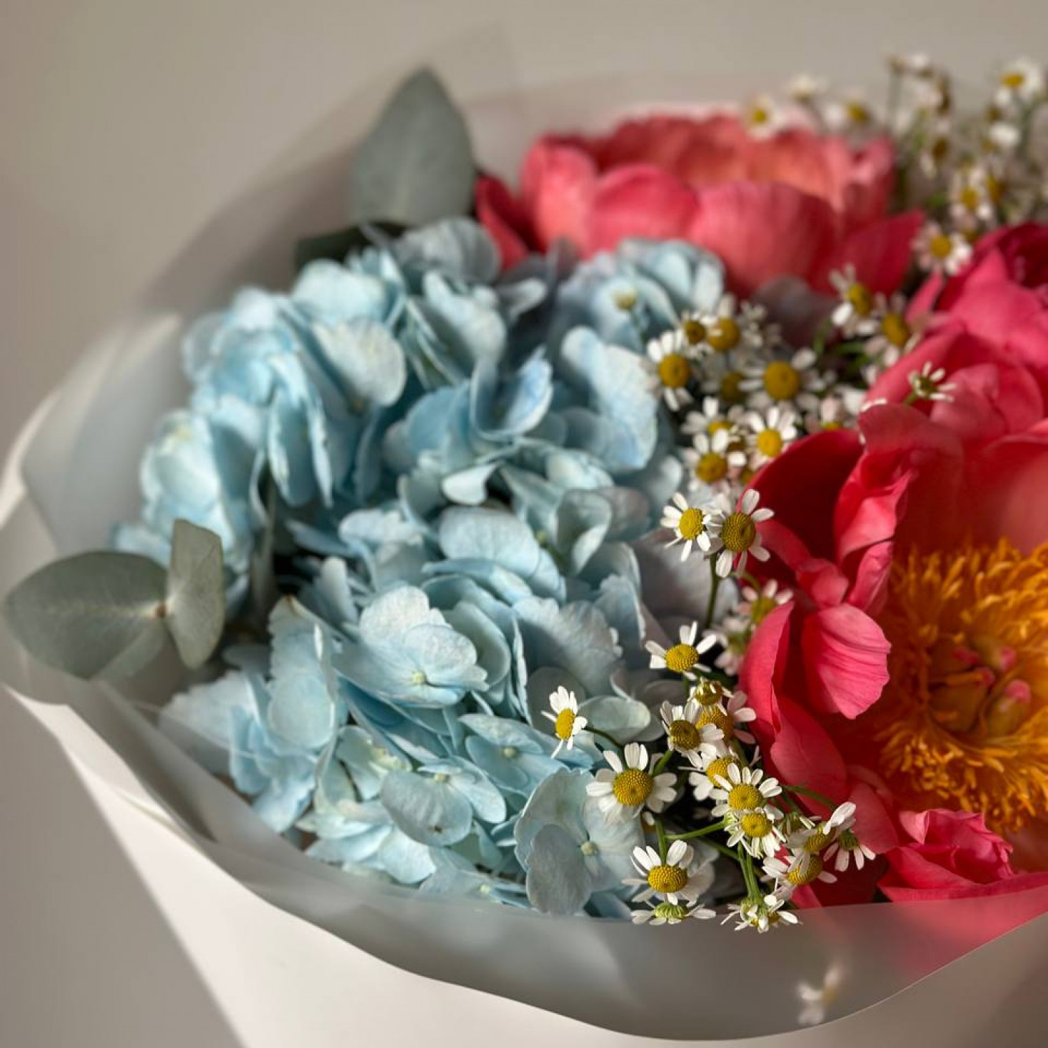 Букет из пионов Корал Шарм и Гортензии