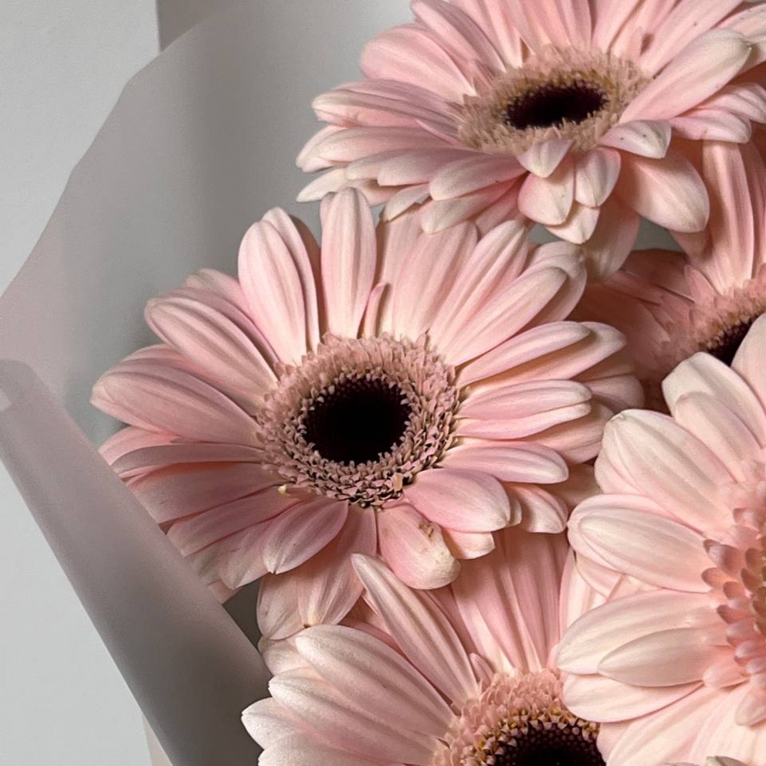 Букет из 9 Гербер