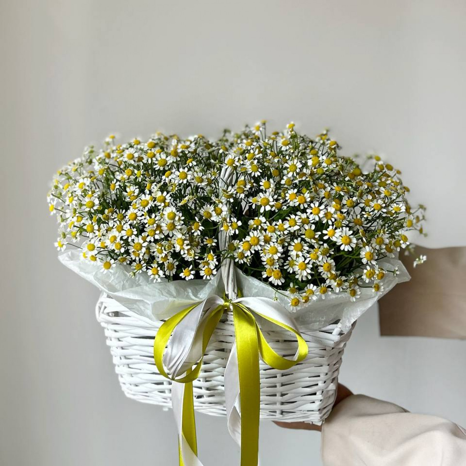 Корзина с ромашками