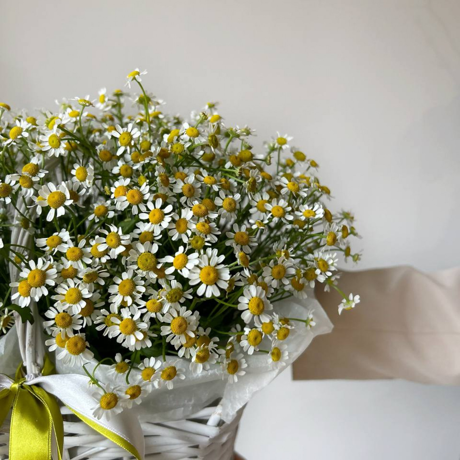 Корзина с ромашками