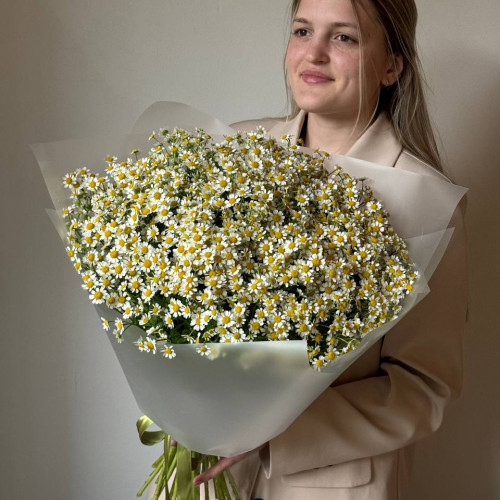 Монобукет из 39 кустовых ромашек