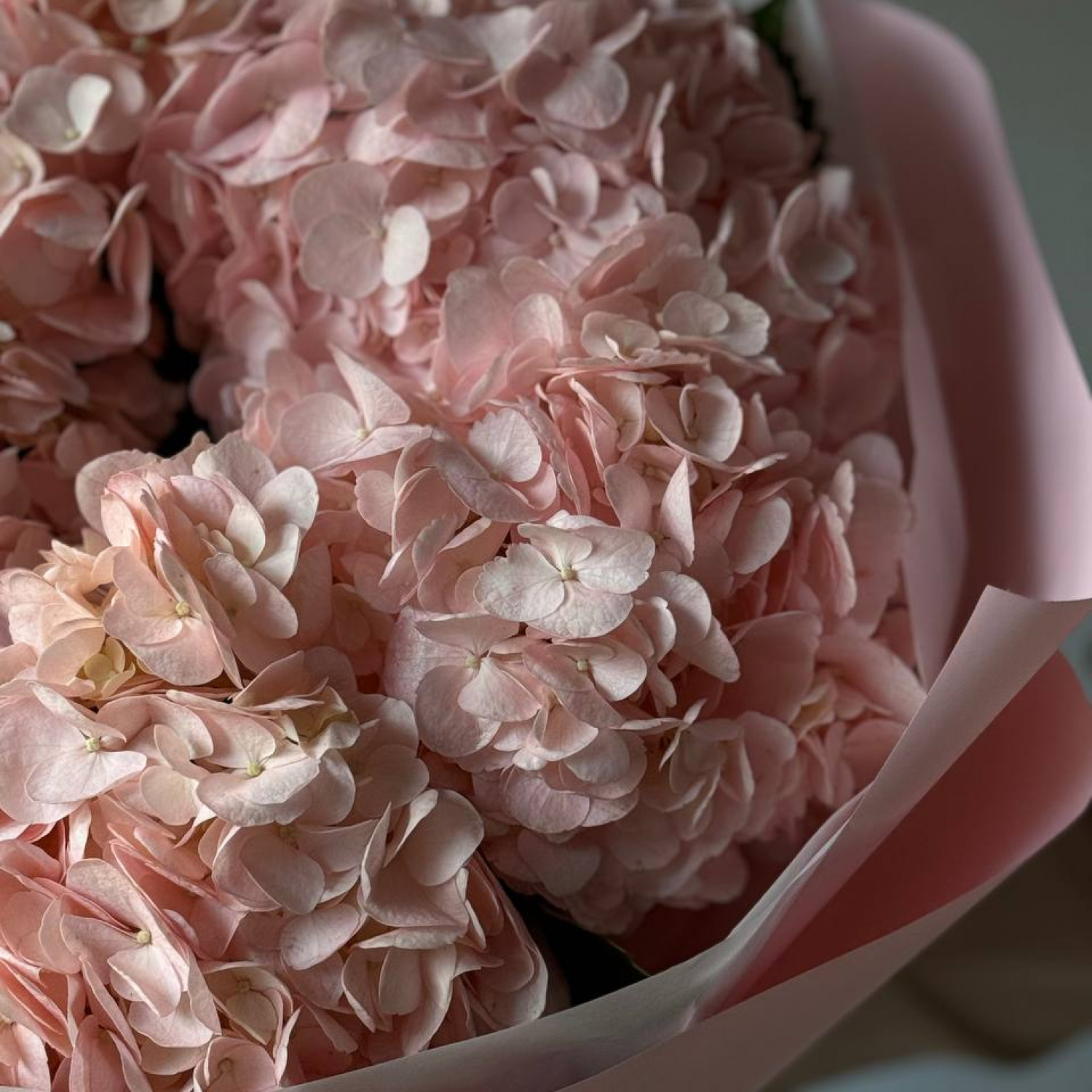 Монобукет из 5 розовых гортензий