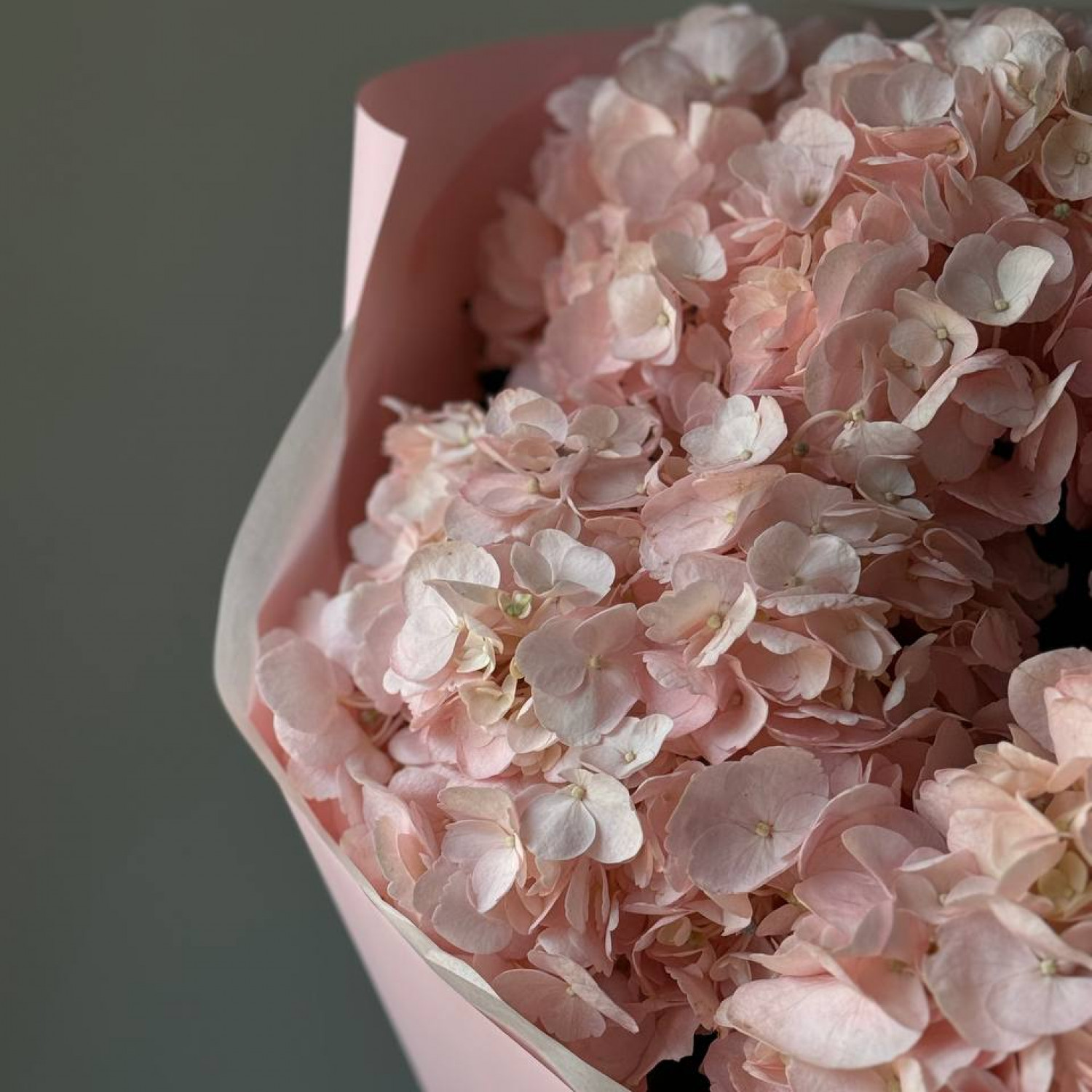 Монобукет из 5 розовых гортензий