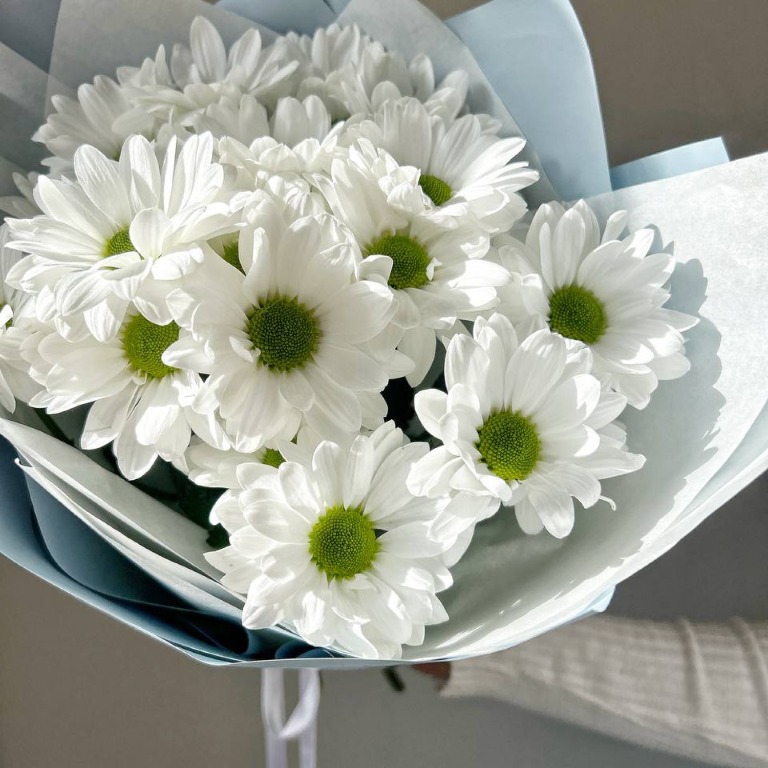 Монобукет из 3 ромашковых хризантем №57