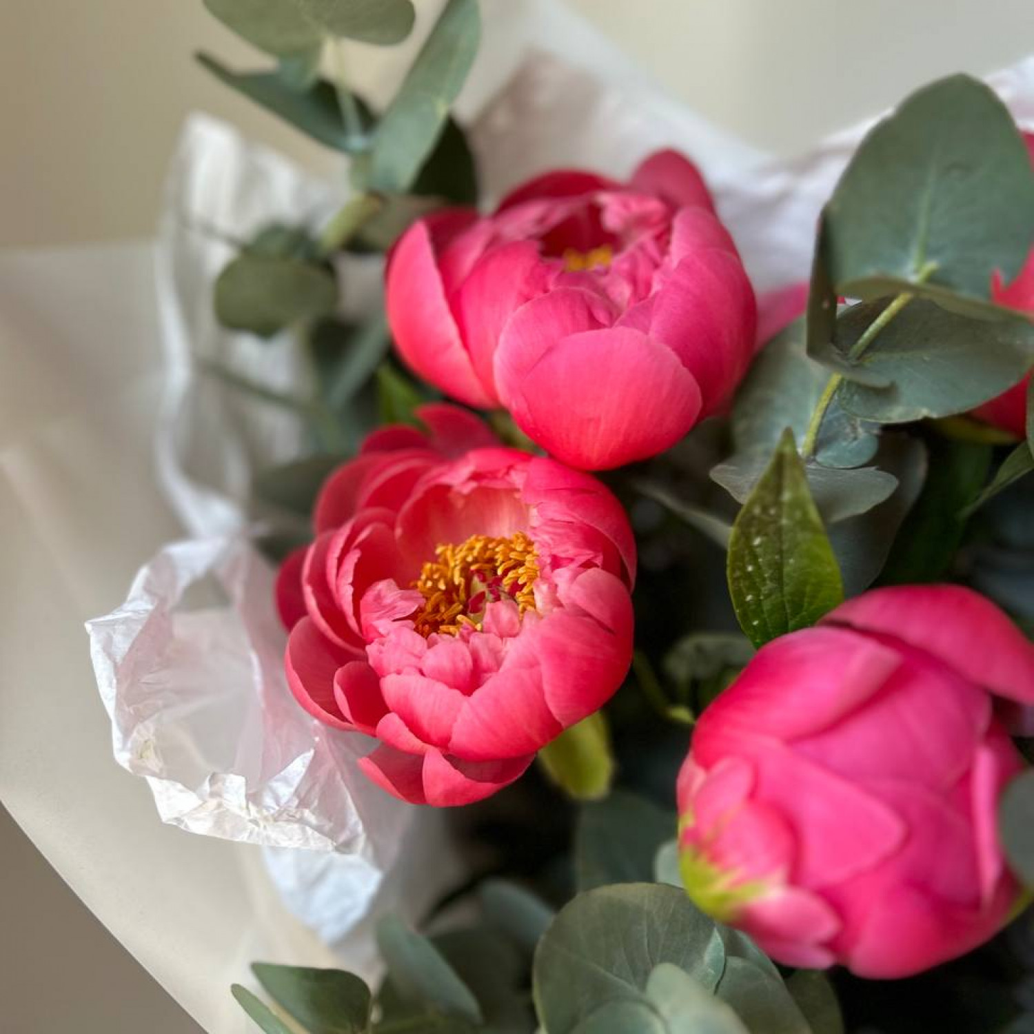 Монобукет из 5 пионов Корал Шарм с эвкалиптом №62