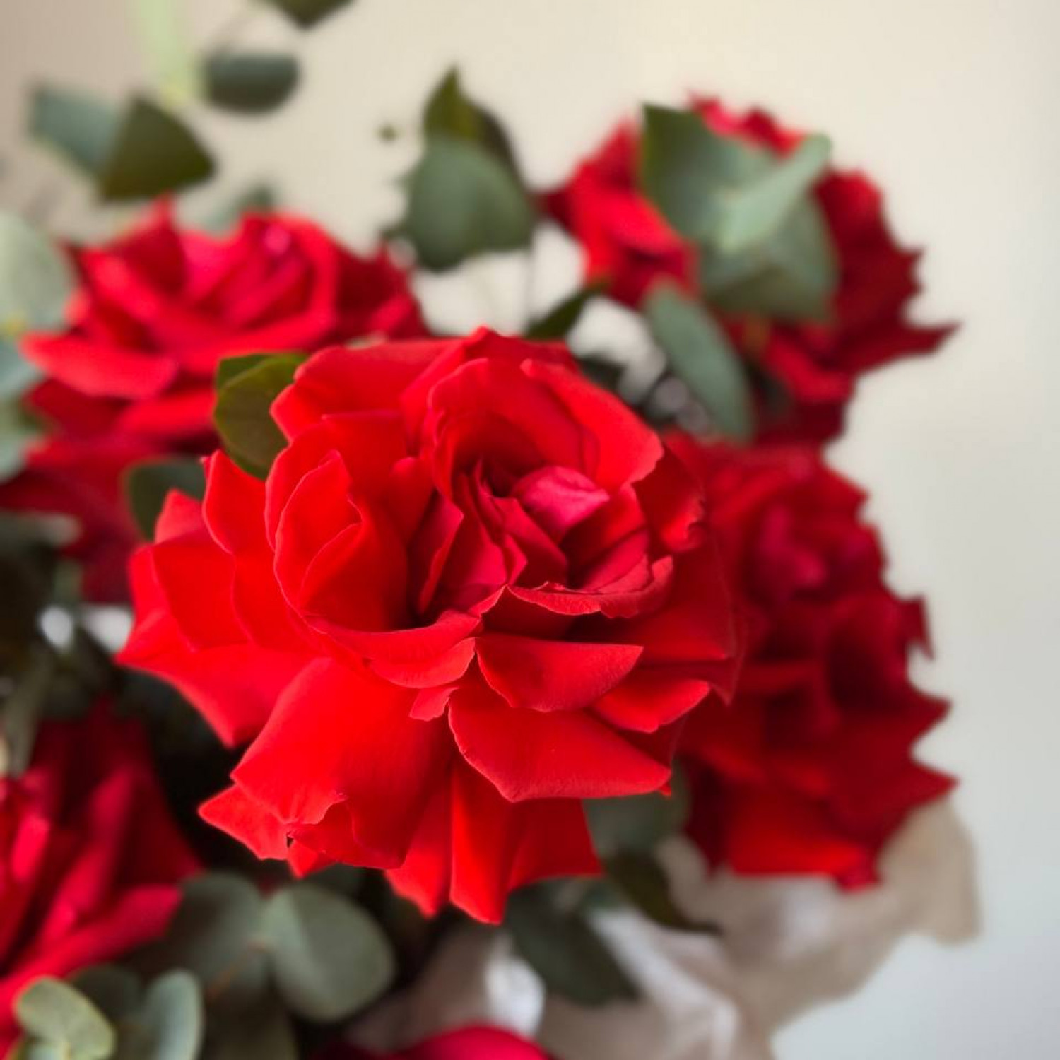 Композиция в коробке из красных французских роз