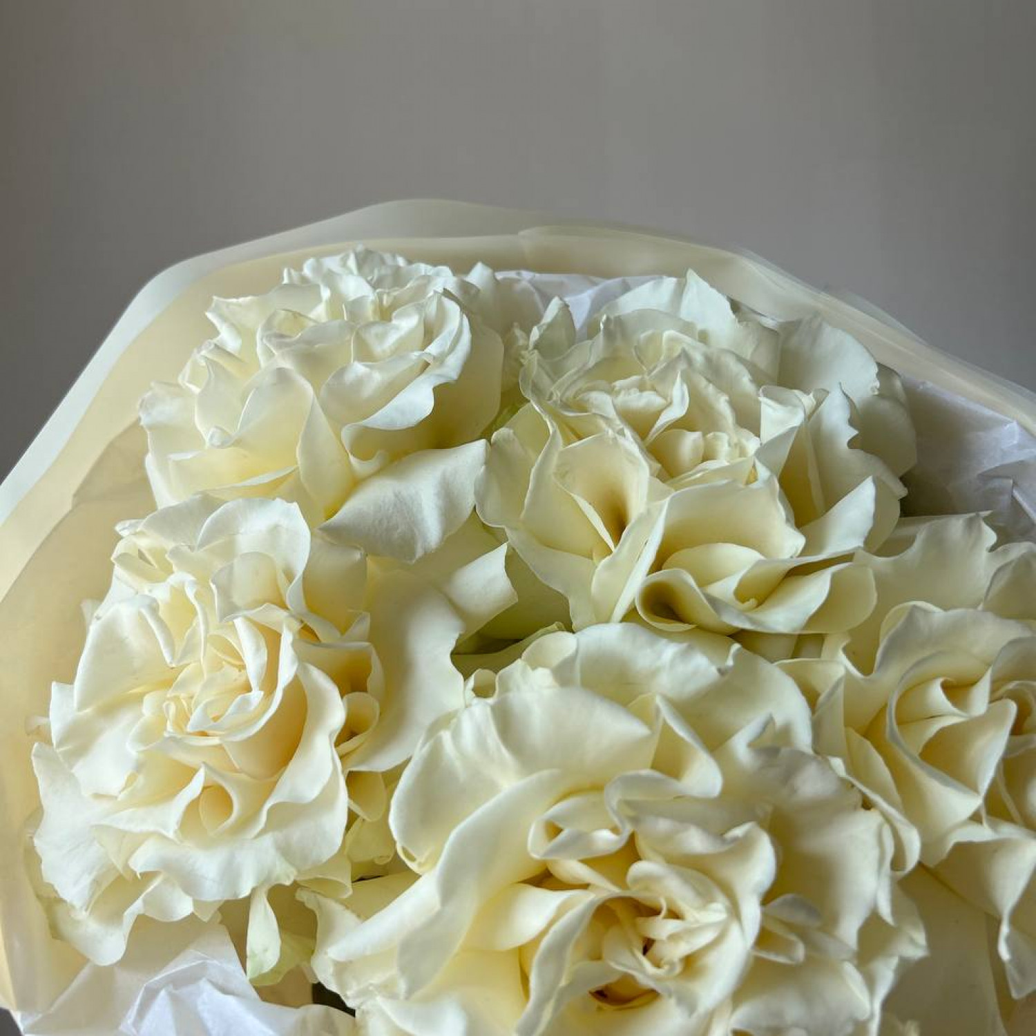 Монобукет из 5 белых французских вывернутых роз