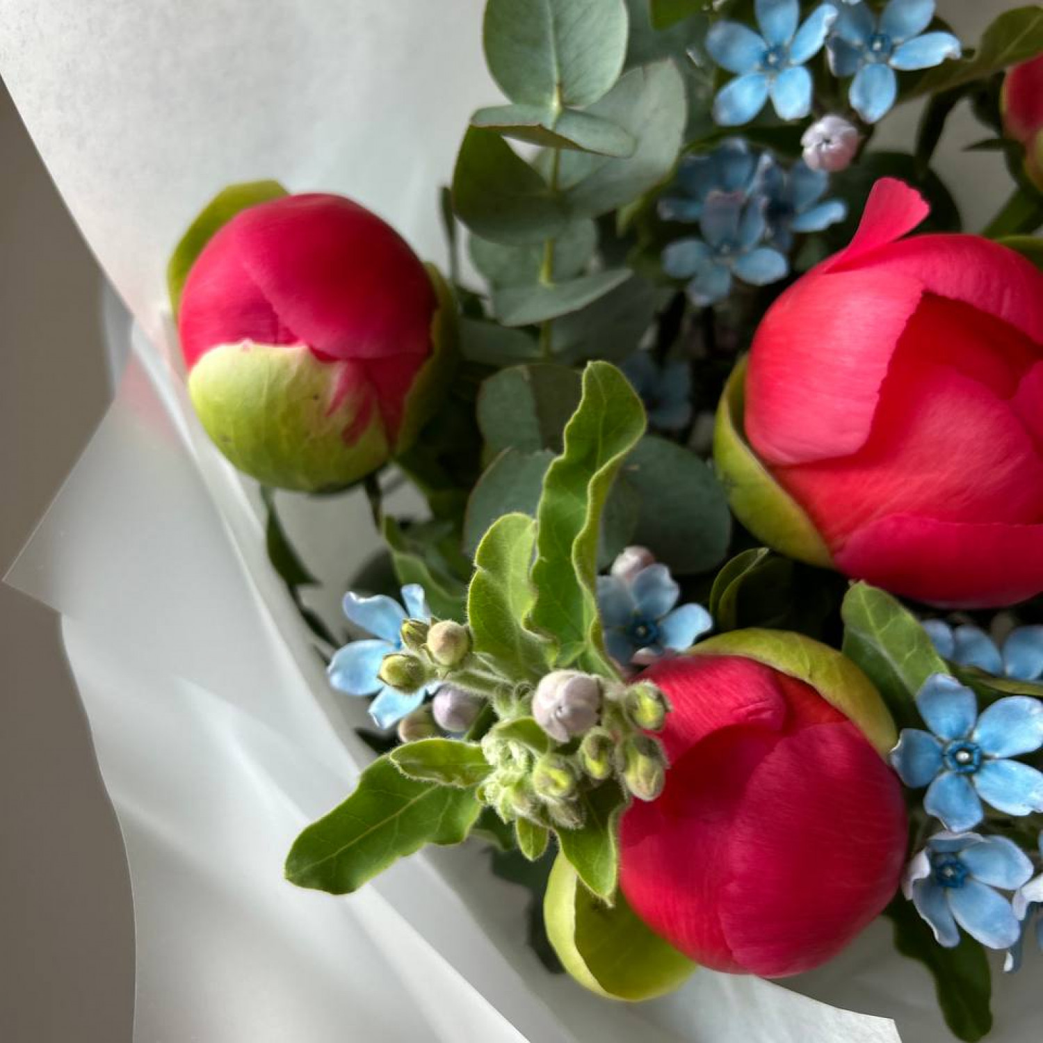 Авторский букет с пионами Корал Шарм №53