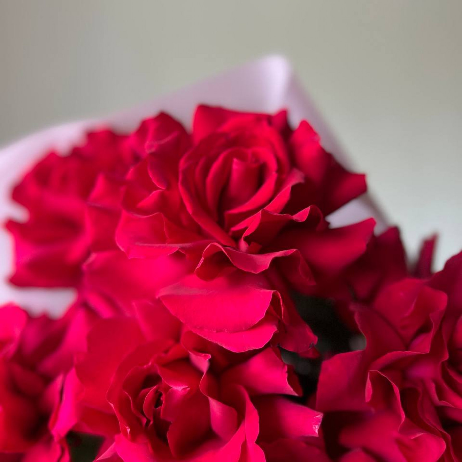 Монобукет из 9 французских малиновых роз