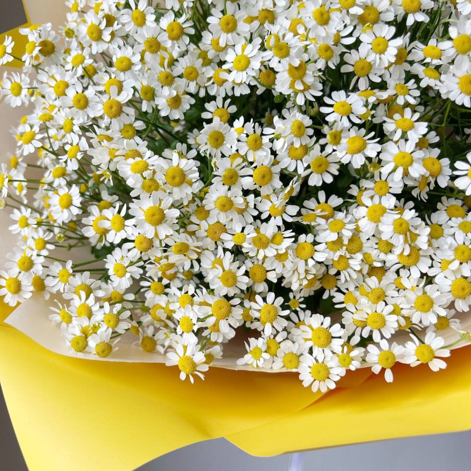 Монобукет из 15 кустовых ромашек № 41