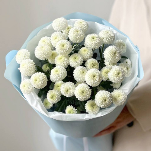 Монобукет из 5  кустовых хризантем Невтон №45