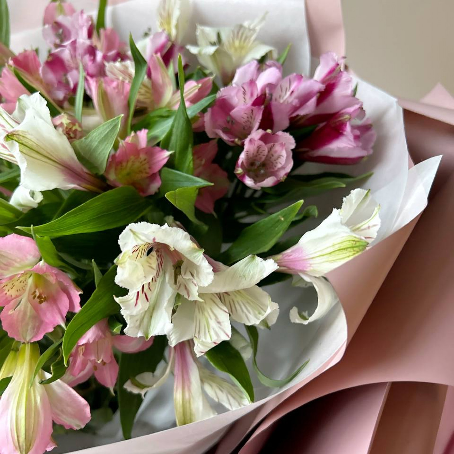 Монобукет из 11 Альстромерий микс