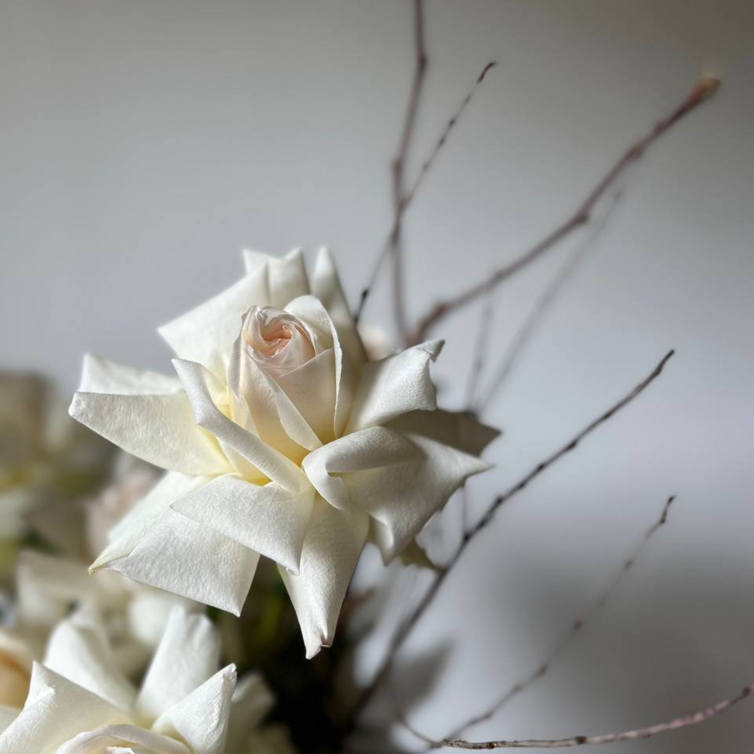 Композиция из французских ароматных роз в коробке