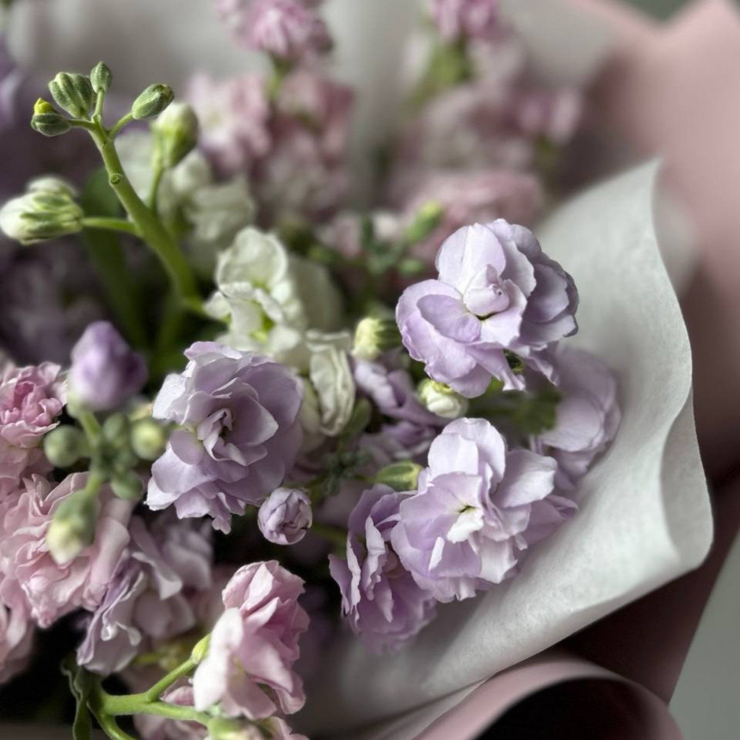 Ароматный букет из кустовой маттиолы №10