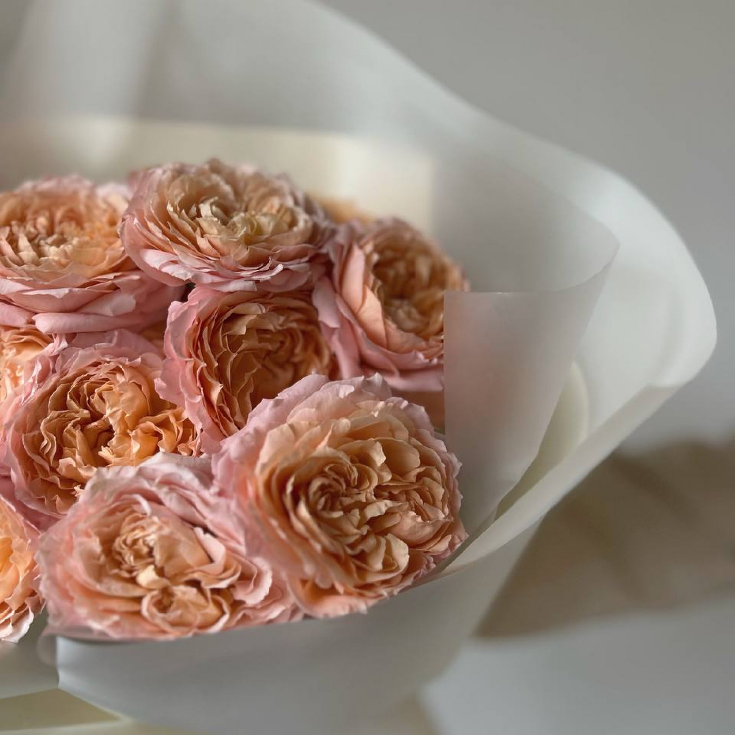 Монобукет из 5 кустовых пионовидных роз Джульетта №17