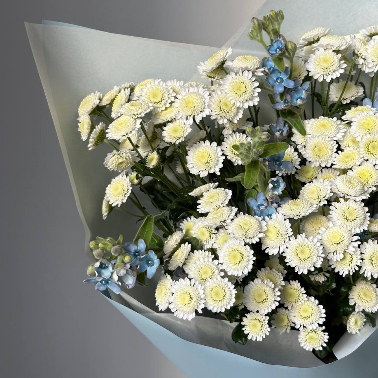 Сборный букет из Хризантем и Незабудок